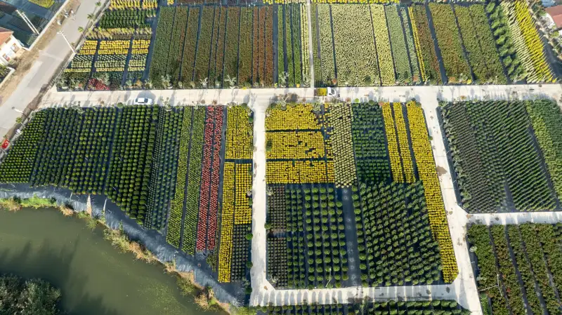 安防监控滤光片与窗口片：技术特性对比及应用场景分析